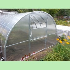 Пинская Крепыш